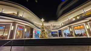 Khaels City Oasis at Marina Spatial