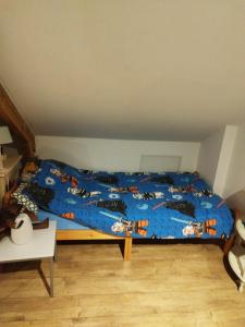 En coloc chez Charlotte