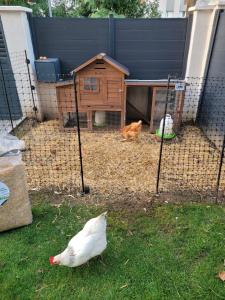 Maisons d'hotes Dream of Mediterranean house, Jacuzzi, BBQ, Delices ensoleilles : photos des chambres