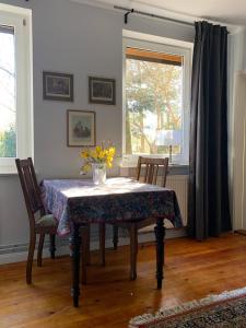 Zwei Zimmer Appartement Elbtalaue