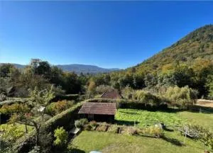 De l'herbe jusqu'aux genoux - appartement 60 m2 - Triembach-au-Val