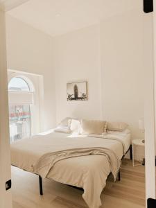 On Trend - 427 Haven