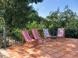 Casa de Andrães - Glicíneas