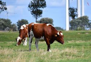 Landhaus Borcherding