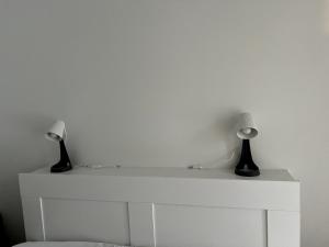 New 42 square feet two bedrooms with sauna for six