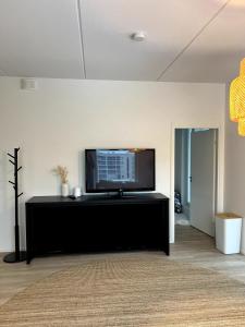 New 42 square feet two bedrooms with sauna for six