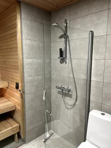 New 42 square feet two bedrooms with sauna for six