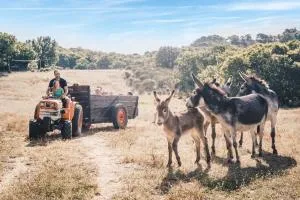 Country Kids Resort - Family Holidays France - 洛代夫