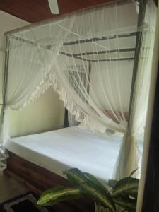 Lai Lai Guest