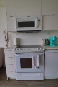 Downtown Oasis-Luxury Condo with Balcony & Free Parking