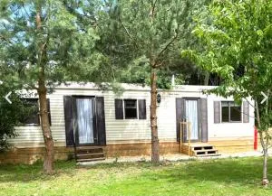 Redwood Cabin 1 - Tholthorpe