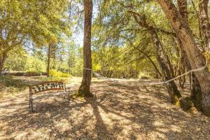 Codys Comfy Cabin- Near Yosemite
