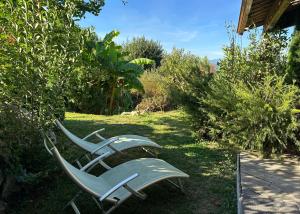 Maisons de vacances Le cocon vert : photos des chambres