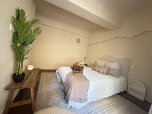 Appartements LES MALDIVES, T2, Balcon, Hyper centre Place aux Herbes : photos des chambres