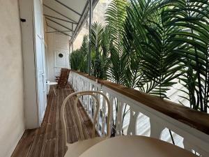 Appartements LES MALDIVES, T2, Balcon, Hyper centre Place aux Herbes : photos des chambres