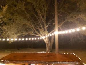 Codys Cozy Cottage-Near Yosemite