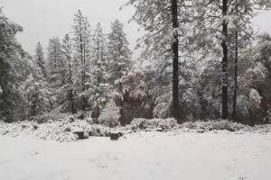 Codys Cozy Cottage-Near Yosemite