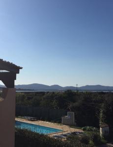 Paradise il Geco img3