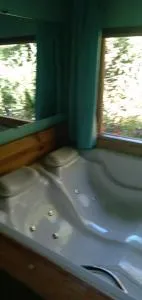 Pauapique Chalé - Núcleo Mauá