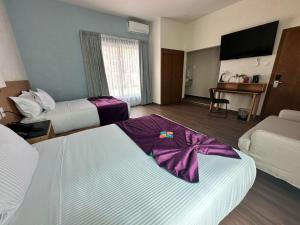 FCH Hotel Minerva-CAS