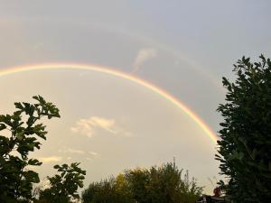 Studio 5 Minuten von Murten