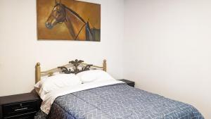 Full Apartment Comfortable, Spacious and with Natural Light in Cuenca - ID301