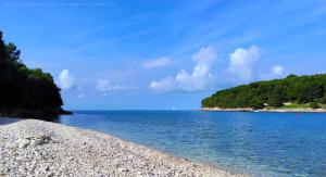 Apartments Fantasy & Magica