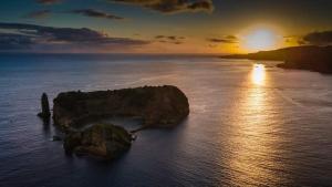 Blue And Gold Cozy Home