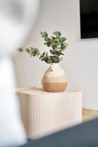 Nueva! Céntrica Suite Boutique