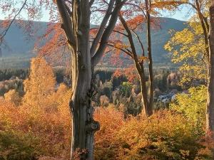 Apartament Słoneczny