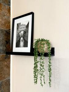 La Galerie - appartement entier -75 m2