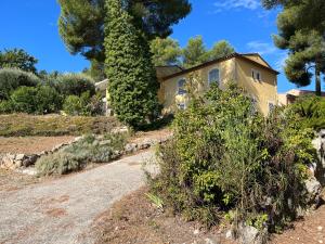 B&B / Chambres d'hotes B&B naturist Villa Oriel Figanieres : photos des chambres