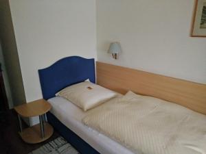 Single Room room in Hotel Alfa