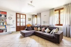 Serendipity - 圭尔福堡