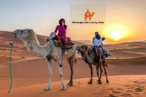 Merzouga Cool Luxury Camp