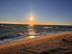 Appartement proche Lydia à deux pas des déferlantes et de la grande plage