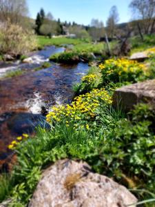 Wellness Chata Rosnatka