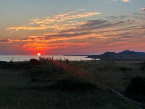 Robinson Crusoe Island Apartment