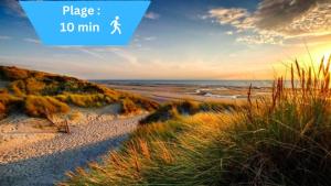 Appartements Studio cosy coeur du Touquet proche plage - Wifi : photos des chambres