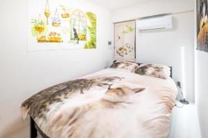 TOKYO SKYTREE Cat house 押上駅徒歩6分 浅草