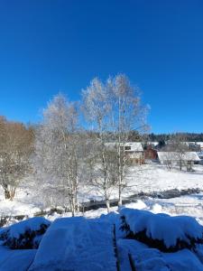 Wellness Chata Rosnatka