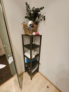Square apartmens Arthur Gebhard