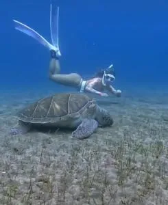 Rincón Mirador Risco Verde - Arinaga