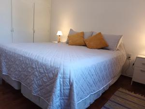 Amplio departamento centrico Mendoza