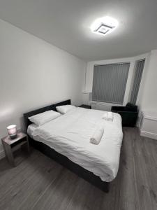 Modern Cozy One Bedroom Apartment