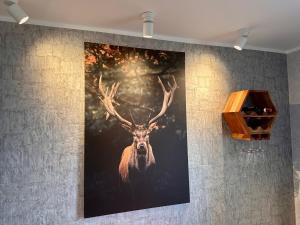 Studio Apartment Cozy mit Terrasse und Parkplatz