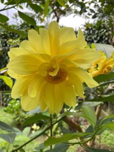 Casa Bella Vista Hermosa casa entre las Montanas piso 2