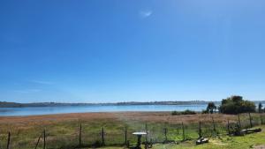 Cabañas Quetalmahue