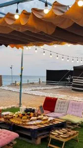 ROYAl FINS CAMP - 苏尔