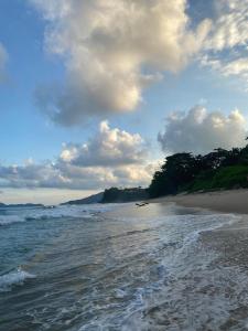 Studio Tenório walking beach